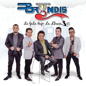 Grupo Bryndis - La Gata Bajo La Lluvia
