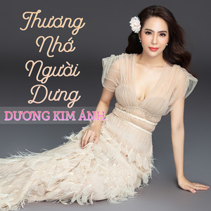 Dương Kim Ánh - Tơ Duyên