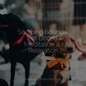 Soothing Sounds For Dogs | Meditation & Relaxation album