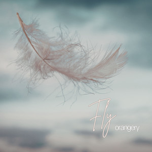 Fly