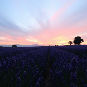 Helena Mirella - Where My Soul Finds Home