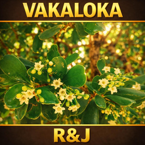 R&J by VAKALOKA