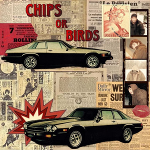 Chips or Birds