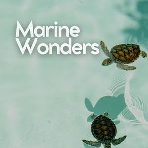 Marine Wonders album