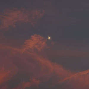 ABSENDER. by MLR, BOOZA