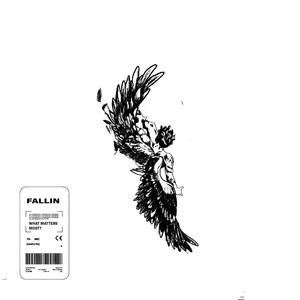 FALLIN by What Matters Most?
