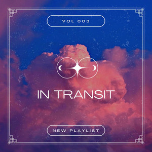 IN TRANSIT by BIGA MUUD