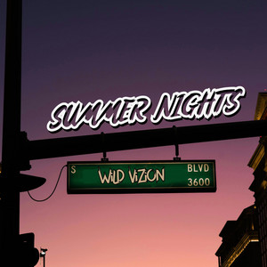 Summer Nights by WiLD ViZiON