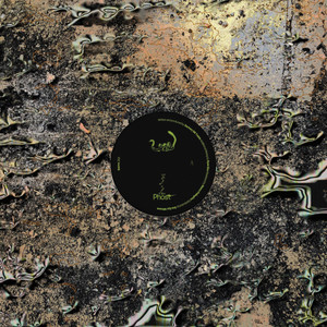 Phost cover
