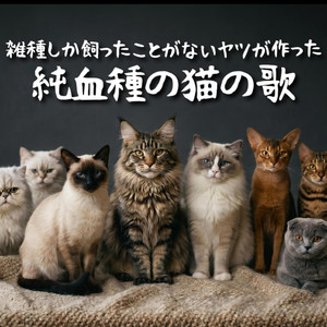 雑種しか飼ったことがないヤツが作った純血種の猫の歌 - Single by