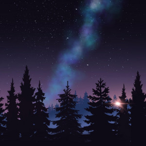 Night Wanderer by Jessamyn Mohr