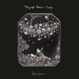 Chappe on Telejazz FM by Raphaël Bonneau