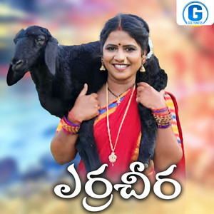 Erra Cheera by Vadlakonda Anil Kumar