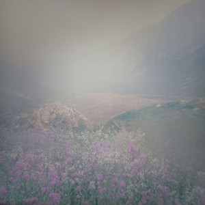 Hipa - я не выживу и без тебя