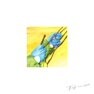 Turf in USA by Mondial Toboggan