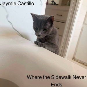 Where the Sidewalk Never Ends by Jaymie Castillo