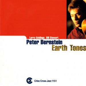 Metamorphosis by Peter Bernstein Trio