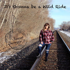It's Gonna Be A Wild Ride cover