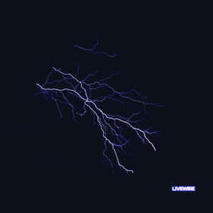 LIVEWIRE by elden