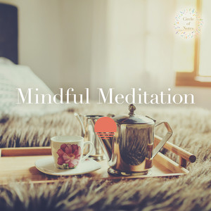 Mindful Meditation