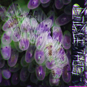 superultra2dtunes — Dodge This (Witch House)