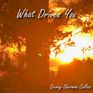 Sherman C cover