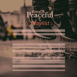 # 1 Album: Peaceful Playlist album
