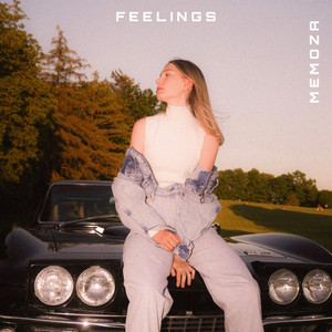 Feelings