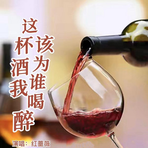 这杯酒我该为谁喝醉 by 红蔷薇