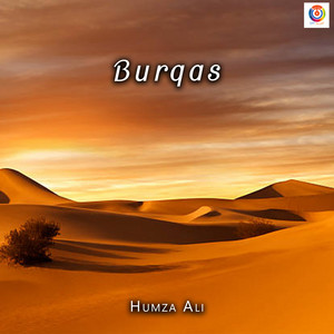 Humza Ali - Burqas