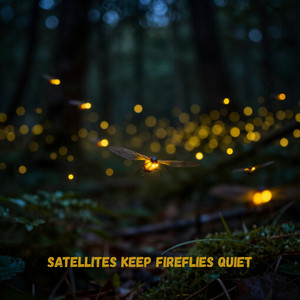 Piko Pick - Satellites Keep Fireflies Quiet
