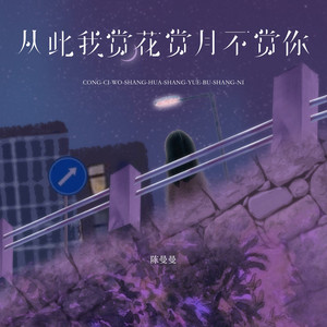 从此我赏花赏月不赏你 (伴奏)