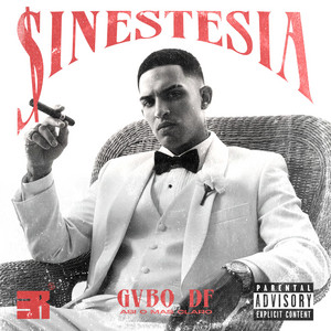Sinestesia by Gvbo DF
