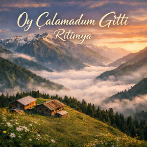 Oy Çalamadum Gitti by Ritimya