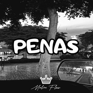 PENAS by MALVAFLOW