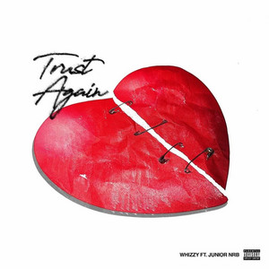 Trust Again by Whizzy, Junior NRB