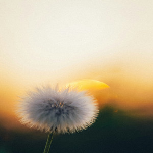 Give Me Something by Maria Myzak