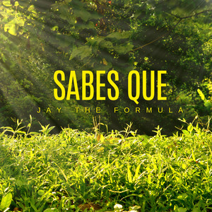 Sabes Que by Jay The Formula