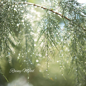 Rainy Evening