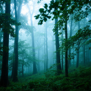 Francis Walker - You now 123