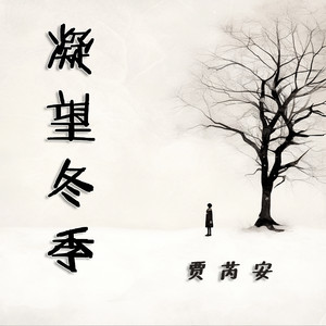 凝望冬季 - 浪漫版 by 贾芮安