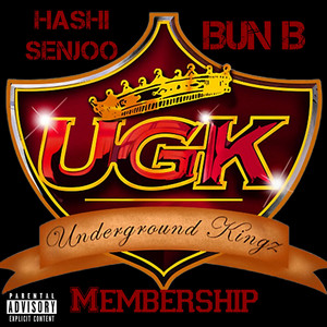 Everyone Won't Like This, But ALOT Will - Album by Hashi Senjoo
