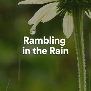 Rambling in the Rain album