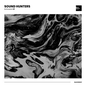 Sound Hunters - Cerebral