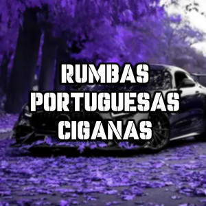 Rumbas Portuguesas Ciganas - Rumba Portuguesa (Luís barão)