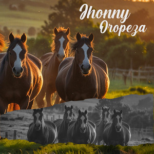 Que Hago Pa No Quererte by Jhonny Oropeza