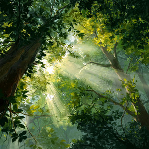 the trees sway by moon glow