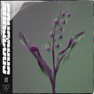 Apologies by Gracchus