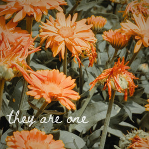 They Are One by Adrienne Levay