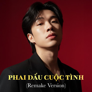 Phai Dấu Cuộc Tình - Remake Version by NDMT